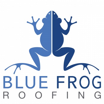 Image for Blue Frog Roofing Limited with ID of: 4577303