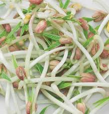 Image for Mung Bean Sprouting Seed Market Status & Supply Demand | Industry Forecast Report To, 2025 with ID of: 4583460