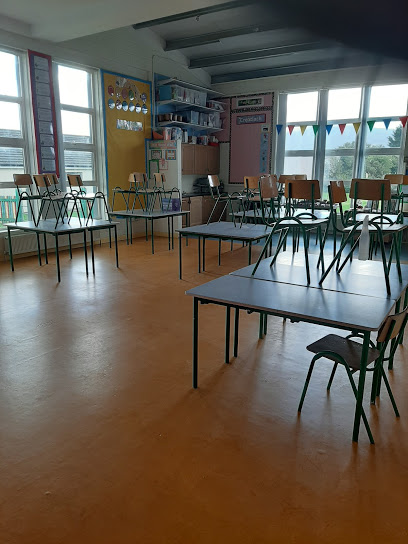 Image for Clonmel Cleaners with ID of: 4584046