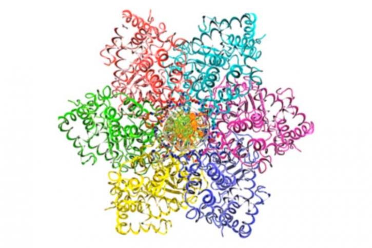 Image for E3 ligase protein with ID of: 4586210