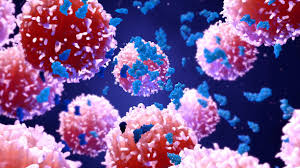 Image for sars ACE2 Antibodies with ID of: 4586233