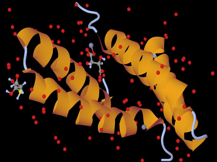 Image for Signaling Assay Kit with ID of: 4586612