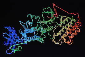 Image for Detection Assay Kit with ID of: 4586616