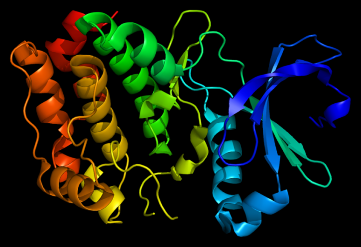 Image for Kit Development with ID of: 4586638