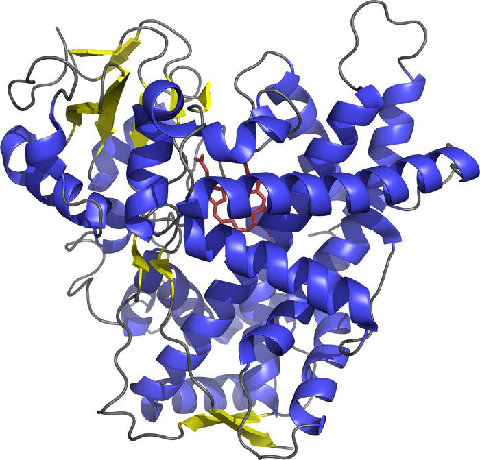 Image for assay kit with ID of: 4586651