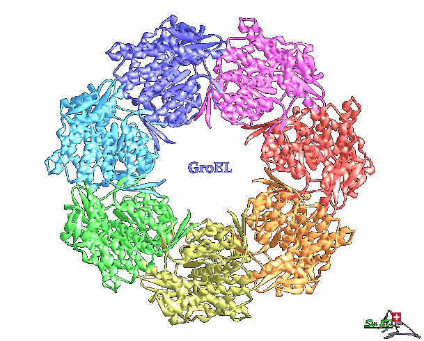 Image for BAFF ECL assay with ID of: 4586654