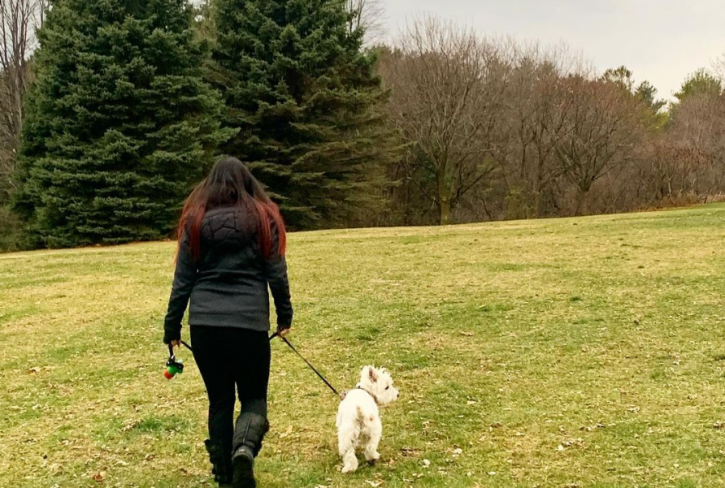 Image for Jube Dog Walkers with ID of: 4586656