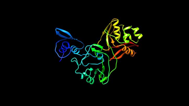 Image for CEA assay with ID of: 4586679