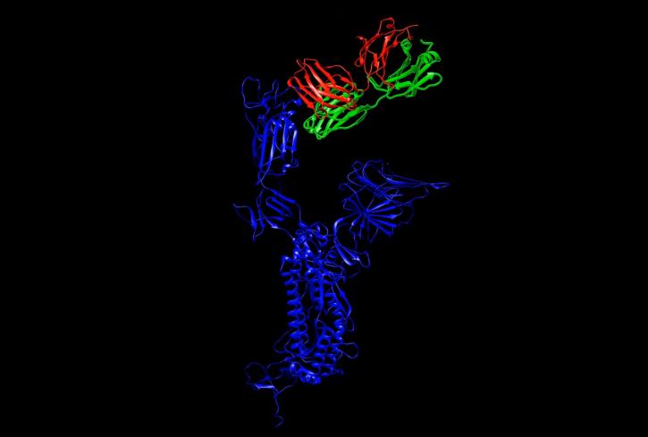 Image for Cell biomarker discovery with ID of: 4586684