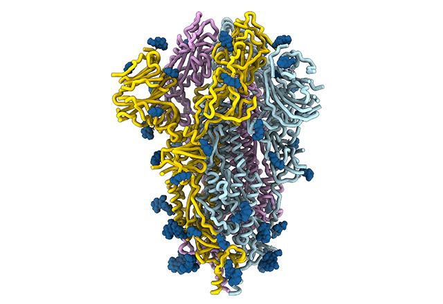 Image for CK-18 ECL test with ID of: 4586689