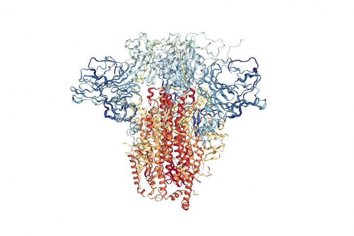 Image for Endotoxin with ID of: 4586700