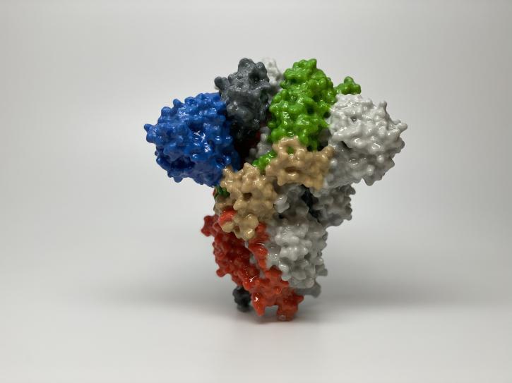 Image for pyrogen-free with ID of: 4586705