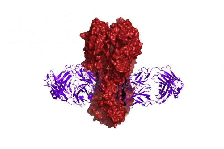 Image for Endotoxin Removal Service with ID of: 4586725