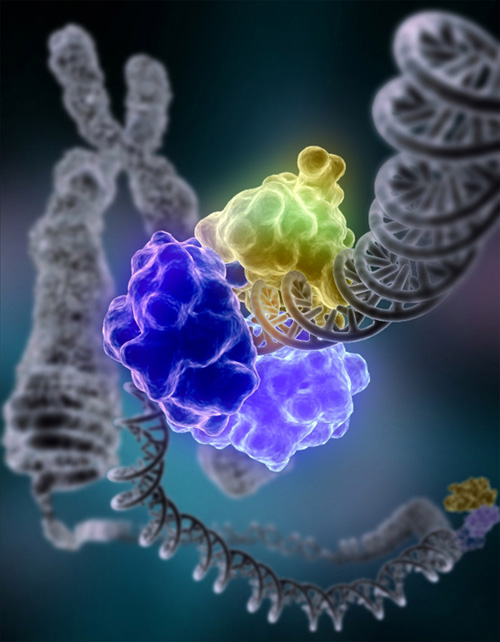 Image for TAL LAL Reagents with ID of: 4587657