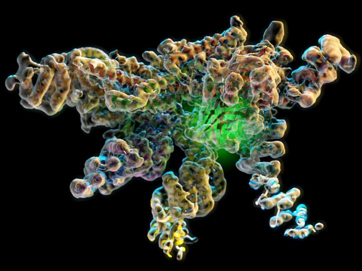 Image for Endotoxin Testing Service with ID of: 4587660