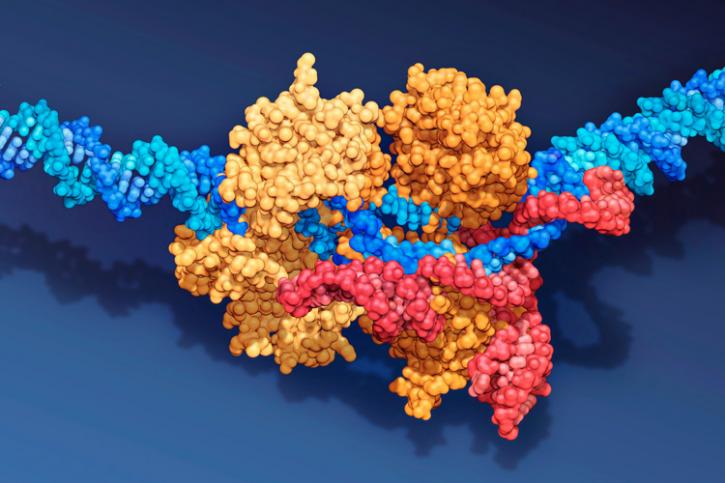 Image for Recombinant humanised IgG4 kappa CD22 with ID of: 4587663