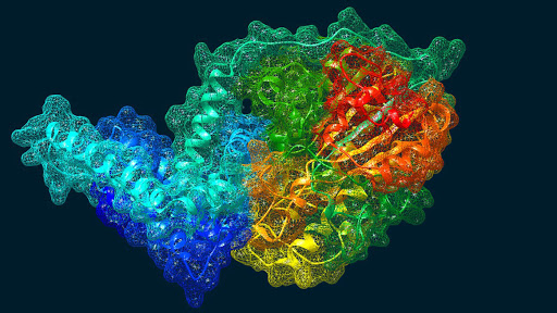 Image for rhMBL with ID of: 4587666