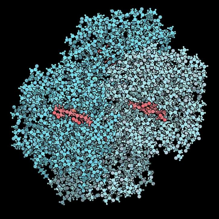 Image for Recombinant coagulation factor IX derivative with ID of: 4587682