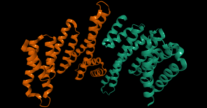 Image for Viral Metagenomics Analysis with ID of: 4587715