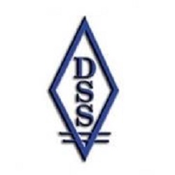 Image for Definitive Staffing Solutions, INC. with ID of: 4588143
