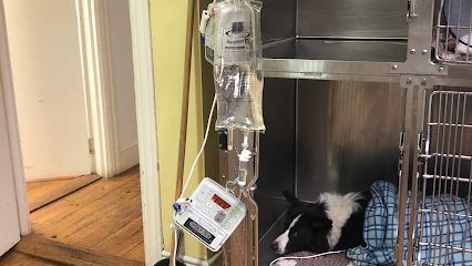 Image for Park Pets Veterinary Clinic with ID of: 4592861