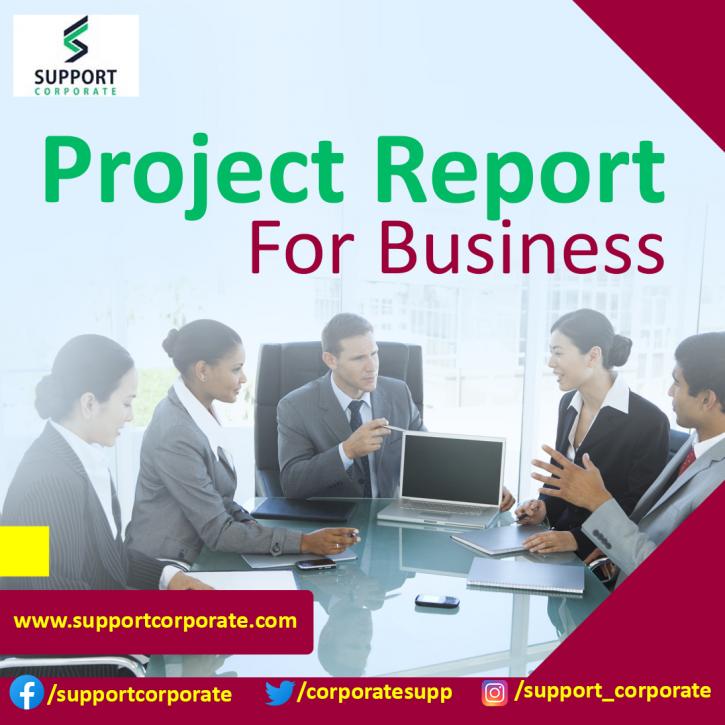 Image for Project Report for Business with ID of: 4605133