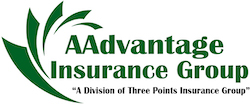 Image for AAdvantage Insurance Group with ID of: 4607485