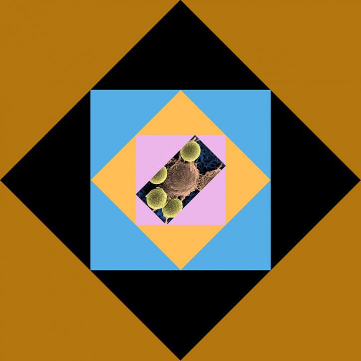 Image for Gadolinium Catalysts with ID of: 4610059