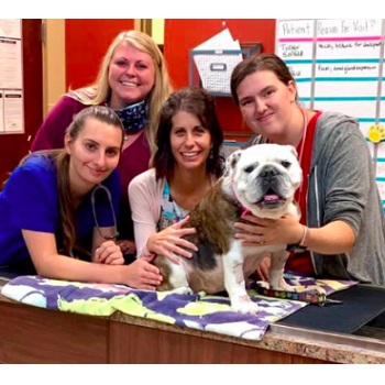 Image for Tuscan Ridge Animal Hospital with ID of: 4615752