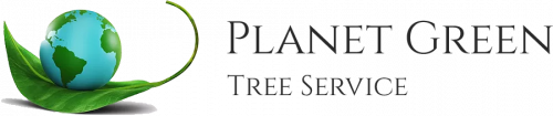 Image for Planet Green Tree Service with ID of: 4616282
