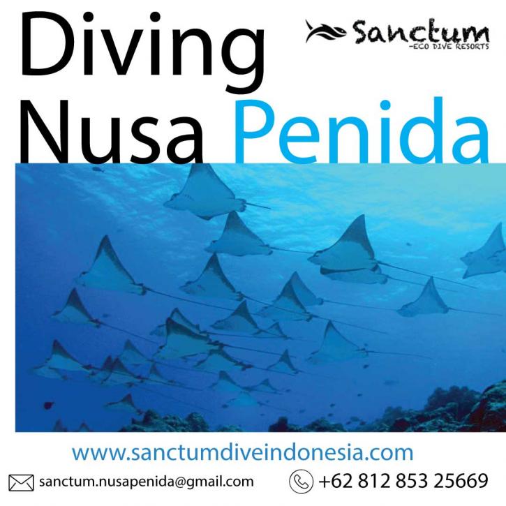 Image for Diving Nusa Penida with ID of: 4629440