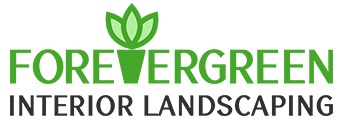 Image for Forever Green Interior Landscaping with ID of: 4630415