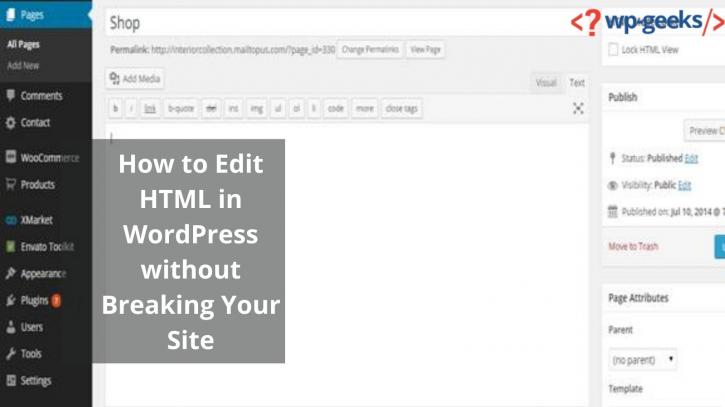 Image for How to Edit HTML in WordPress without Breaking Your Site with ID of: 4641576