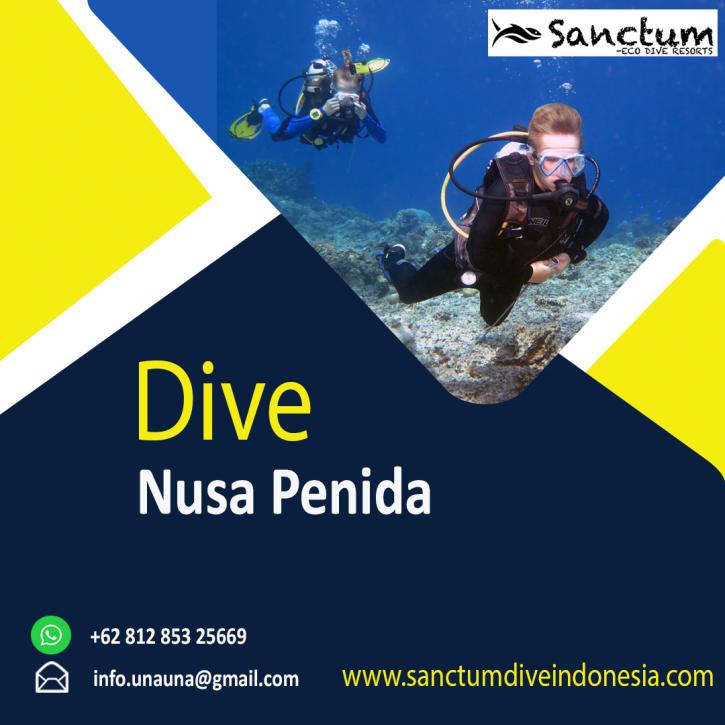 Image for Dive Nusa Penida with ID of: 4650973