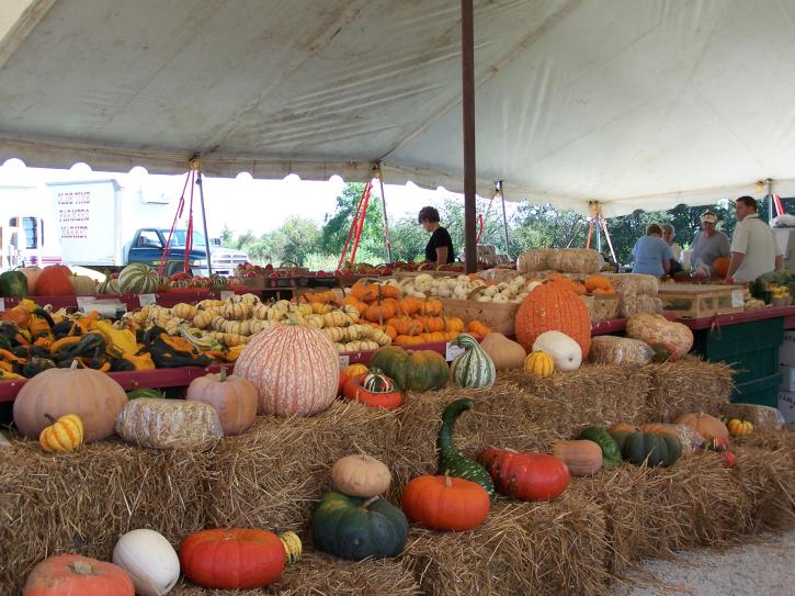 Image for Fall Arrives in Charleston SC - It's Pumpkin Time! with ID of: 465158