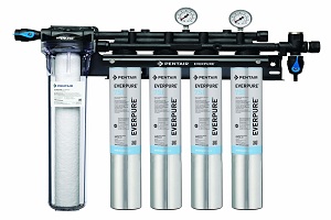 everpure water systems