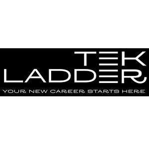 Image for Tek Ladder with ID of: 4660132