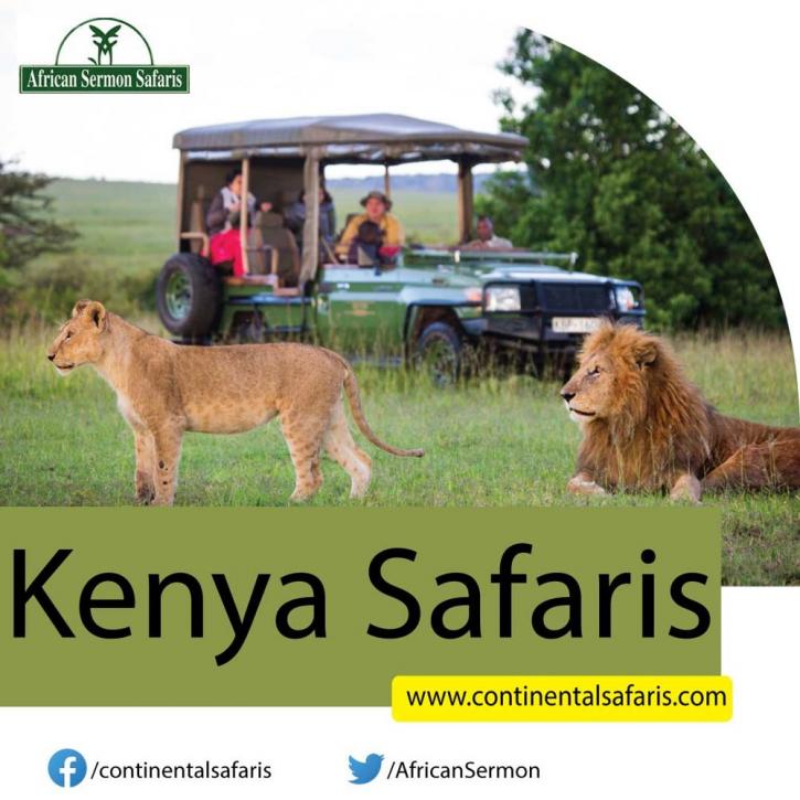 Image for Kenya Safari with ID of: 4660334
