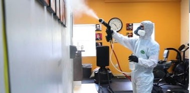Image for Germ Busters with ID of: 4663896