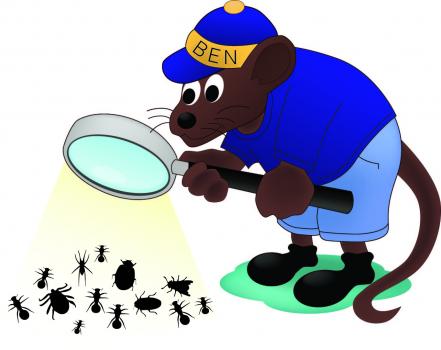Image for Willard's Pest Control with ID of: 4669077