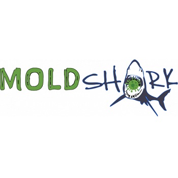 Image for Mold Shark with ID of: 4669147