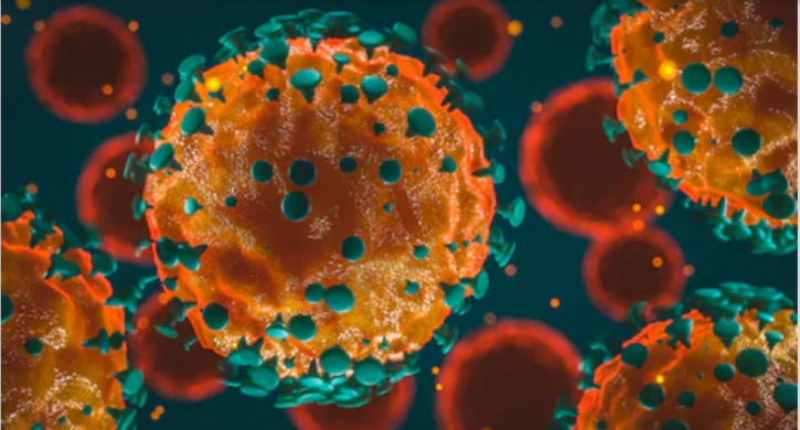 Image for SLS Antibody with ID of: 4669188