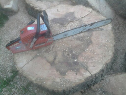 Image for Delaney Tree Cutting Service with ID of: 4674955