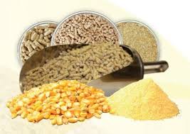 Image for Feedstuff Market Status & Supply Demand | Industry Forecast Report To, 2025 with ID of: 4675537