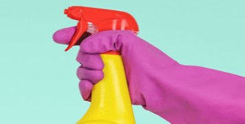 Image for Lucia Cleaning with ID of: 4676165