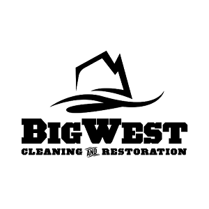 Image for Big West Carpet Cleaning with ID of: 4678947