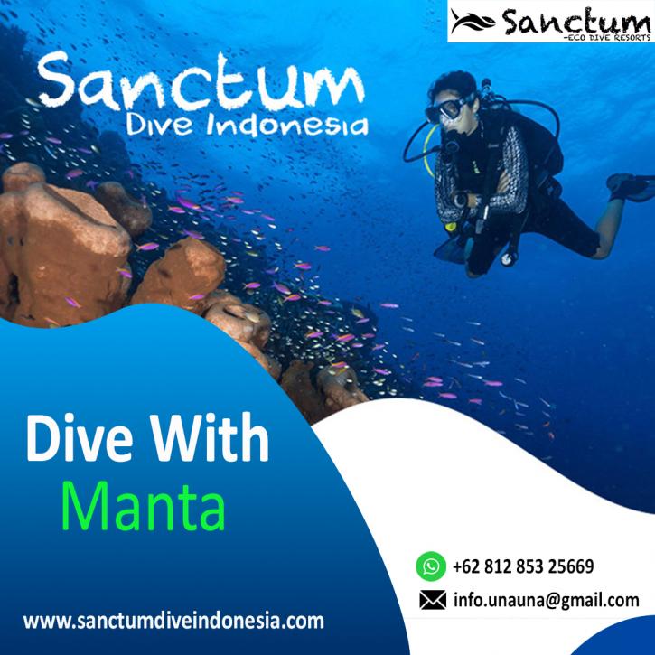 Image for Dive With Manta with ID of: 4679430