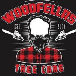 Image for Woodfellas Tree Care with ID of: 4682438