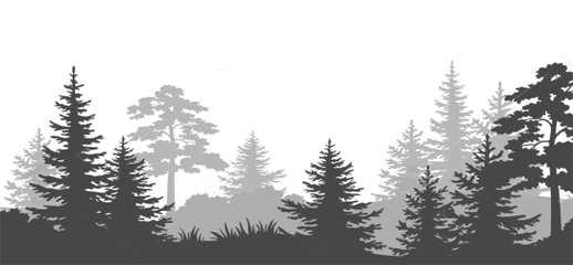 Image for Noerr's Tree Service with ID of: 4687406