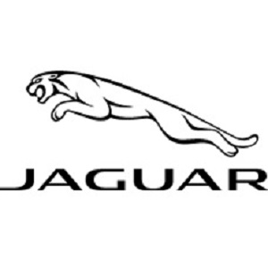 Image for Jaguar of Arrowhead with ID of: 4690063